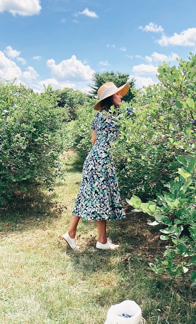 Blueberry picking and what to make with fresh blueberries - Lilly Style